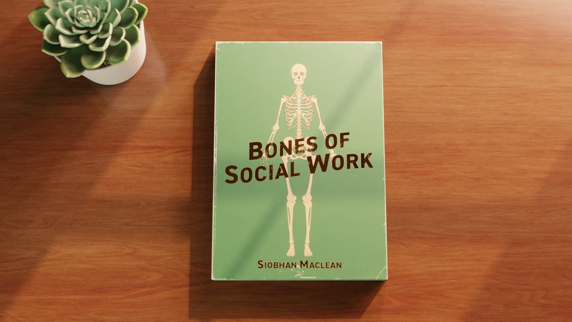 Bones of Social Work box art image